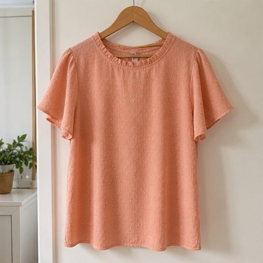 Blush Pleated Blouse
